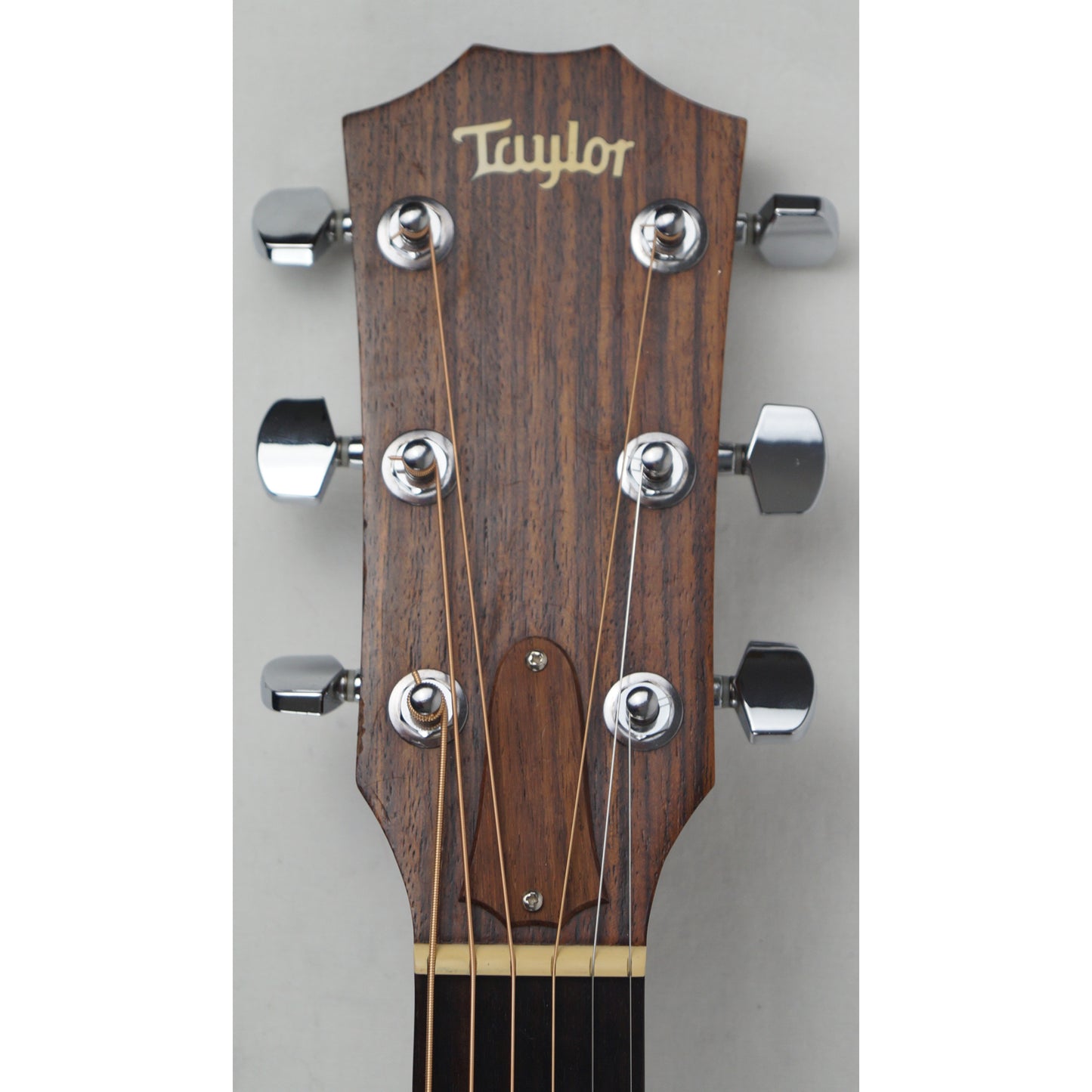 Taylor 110 - Mexiko 2010 - Dreadnought