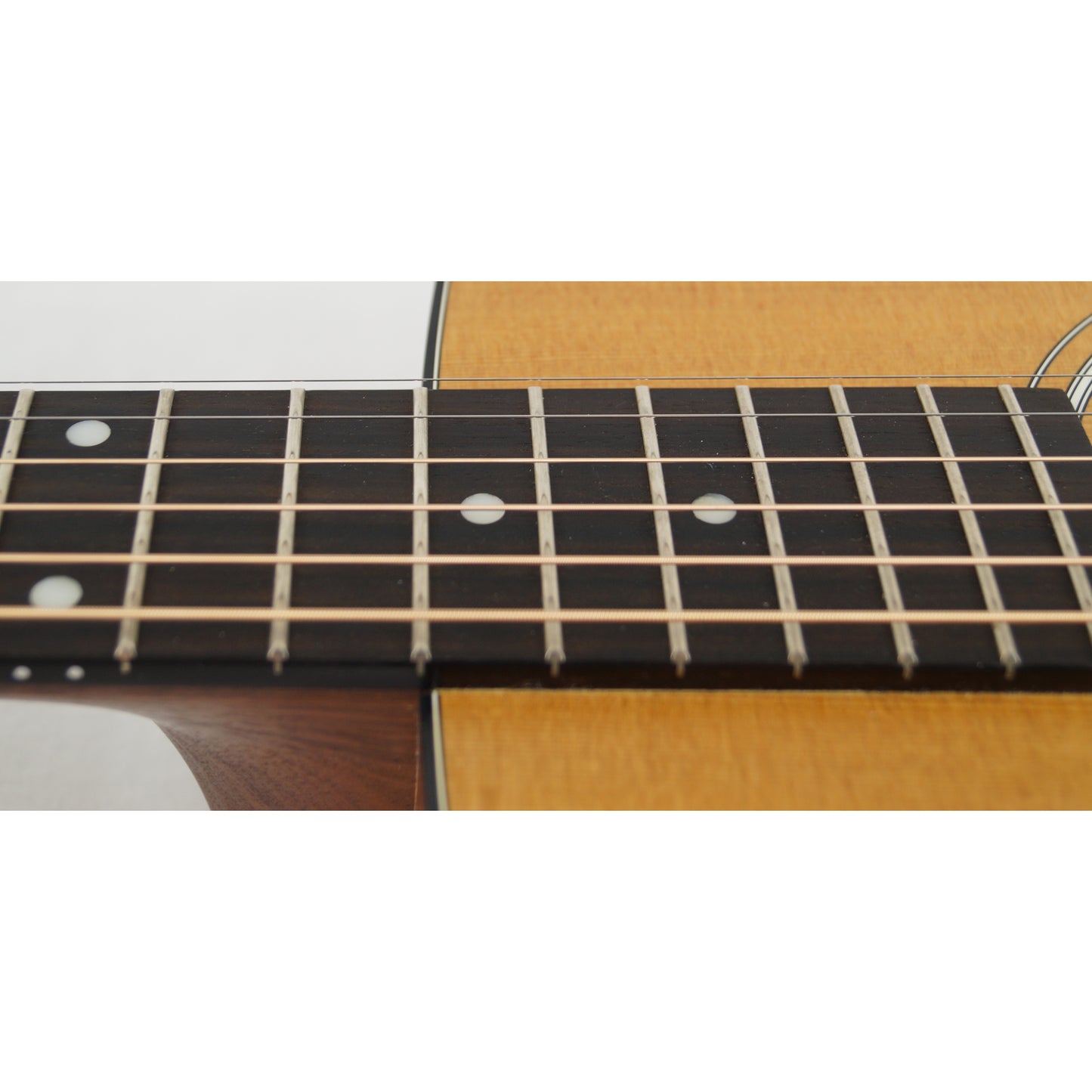 Taylor 110 - Mexiko 2010 - Dreadnought