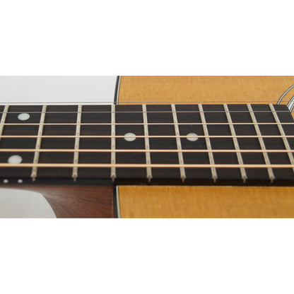 Taylor 110 - Mexiko 2010 - Dreadnought