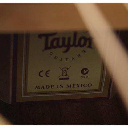 Taylor 110 - Mexiko 2010 - Dreadnought