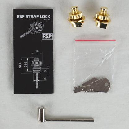 E-II Eclipse DB - Made in Japan - Vintage Black - Mit Koffer