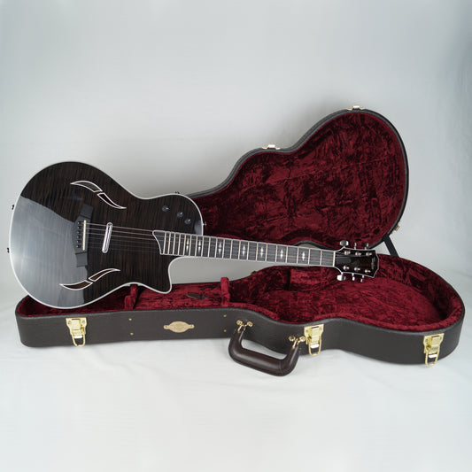 Taylor T5z Pro - USA 2014 - Black, Schwarz - Mit Koffer