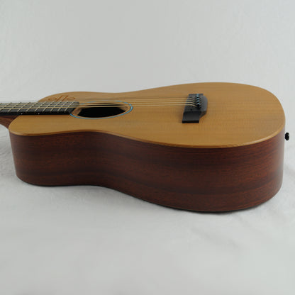 Martin LX1E Divide - 2017 - Little Martin - Ed Sheeran Signature - Mit Gigbag
