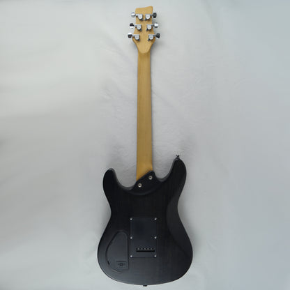 Framus Diablo Pro - Made in Germany 2001 - Nirvana Black